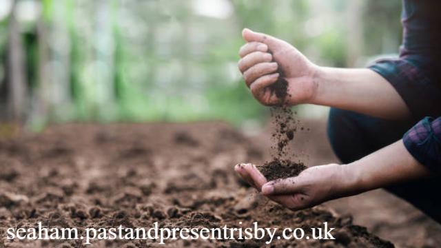 Jurusan Ilmu Tanah: Menyelami Sumber Daya Lahan